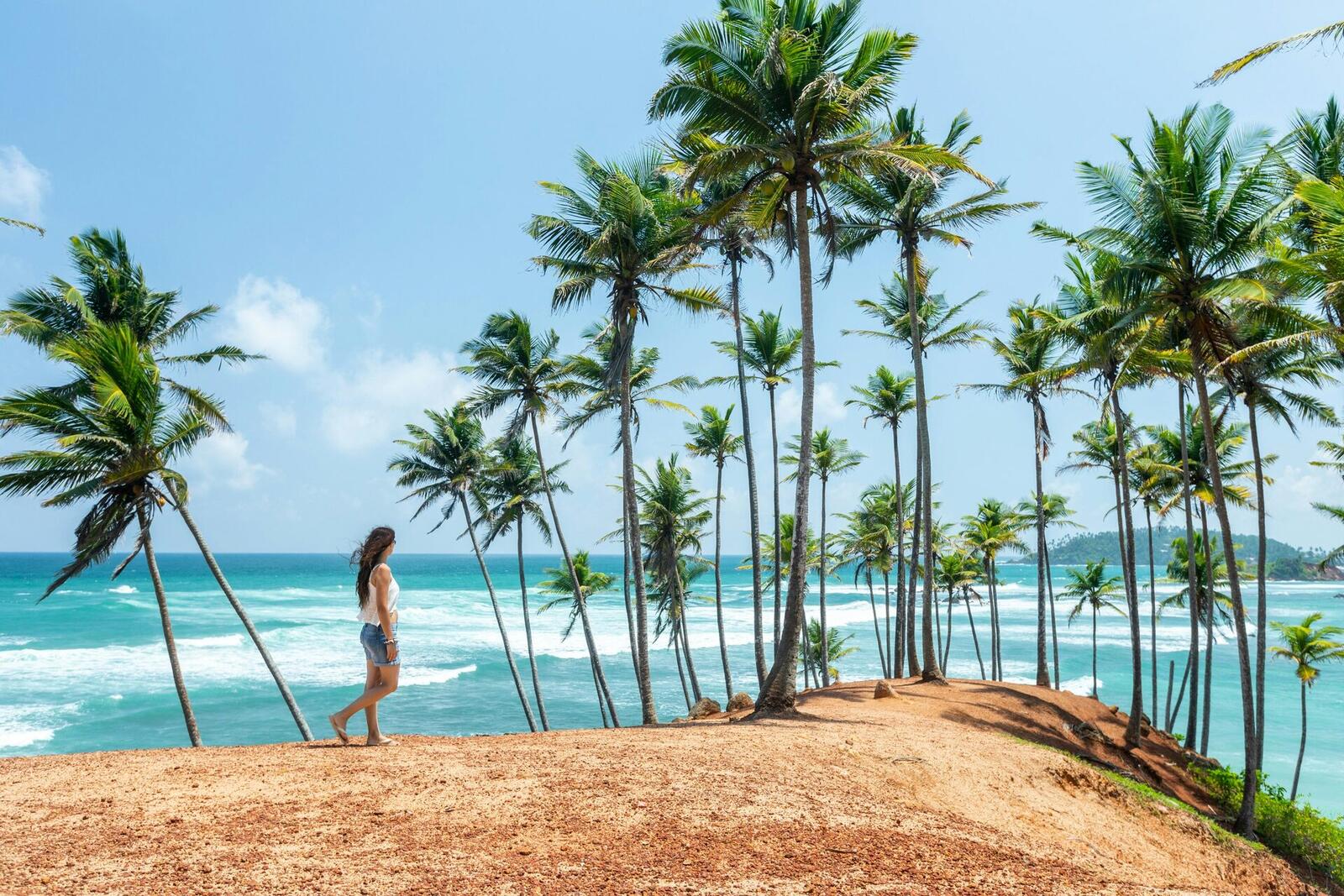 Sri Lanka Luxury Tour